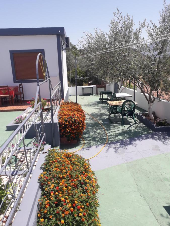 Petrit Guesthouse 사밀 외부 사진